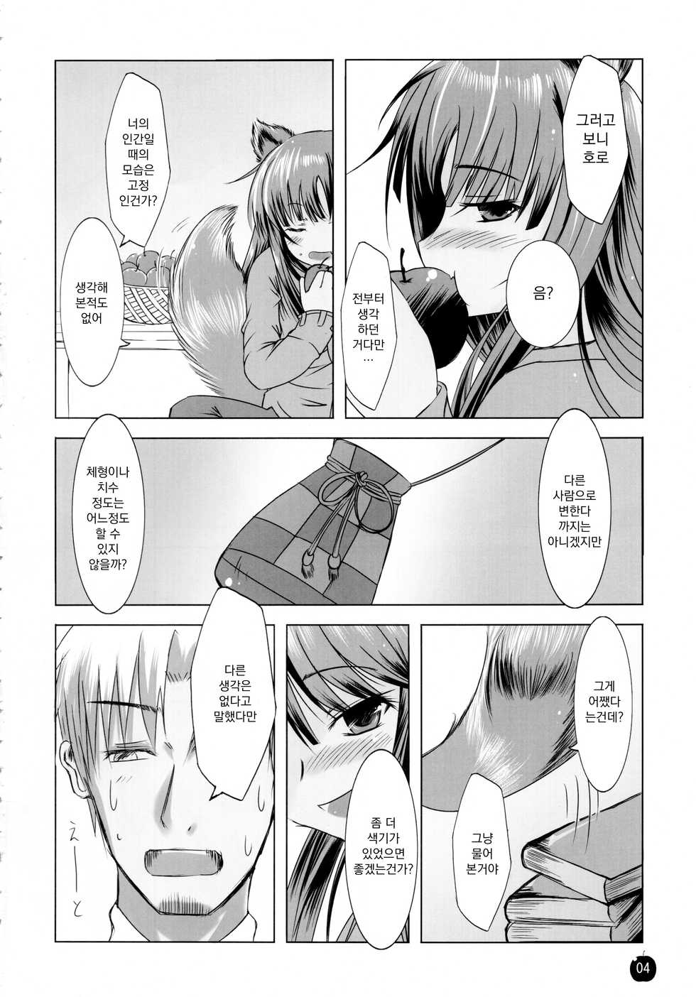 (SC38) [Dream Halls! (Minase Syu, Tsuzuri)] Amairo no Kimi o Aisu | 갈색머리 너를 사랑해 (Spice and Wolf) [Korean] - Page 3