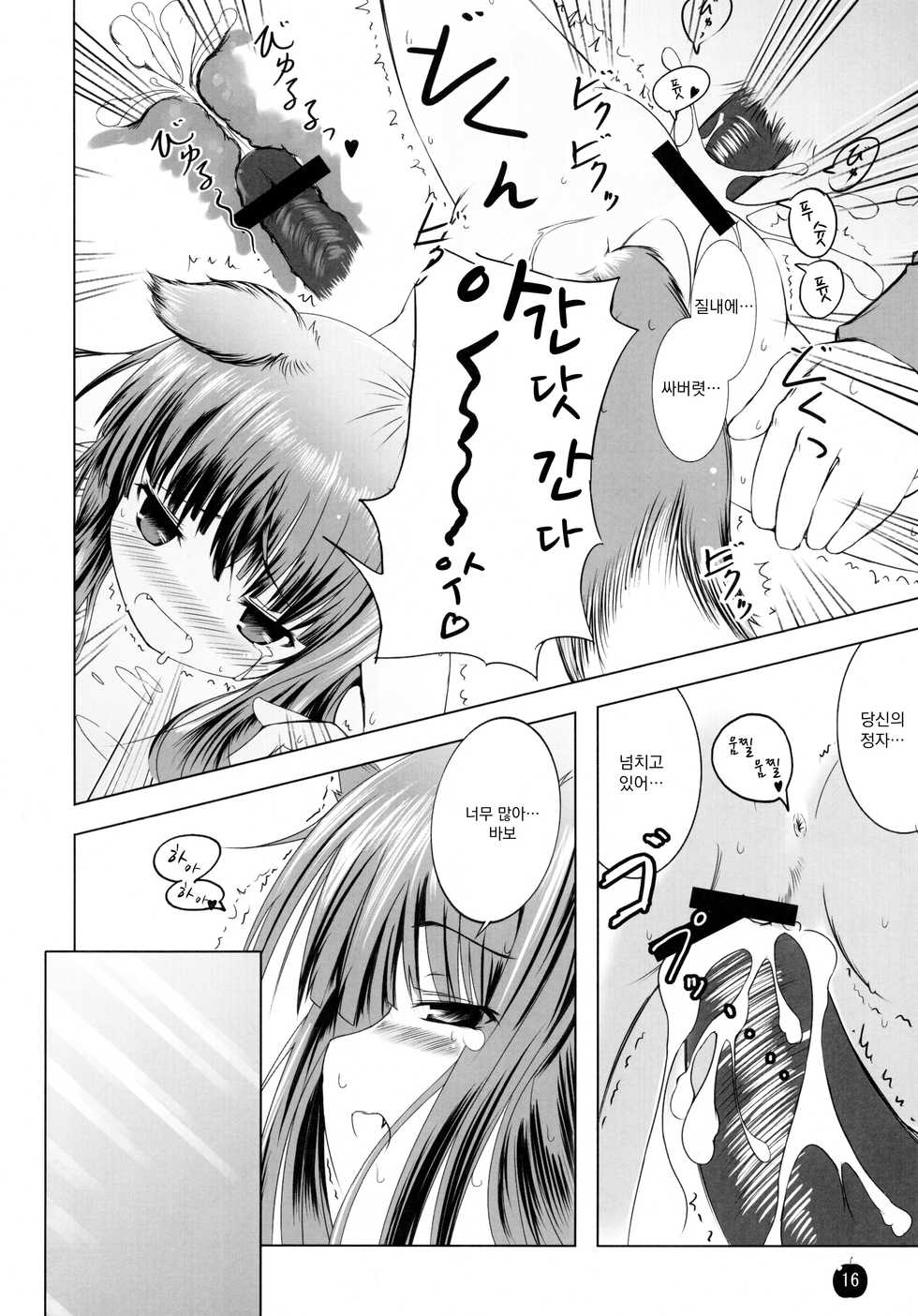 (SC38) [Dream Halls! (Minase Syu, Tsuzuri)] Amairo no Kimi o Aisu | 갈색머리 너를 사랑해 (Spice and Wolf) [Korean] - Page 15