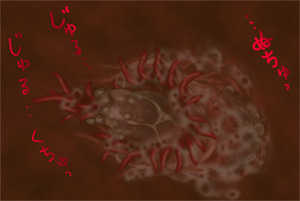 [てんたこ〜]触肉強触 1-7 - Page 13