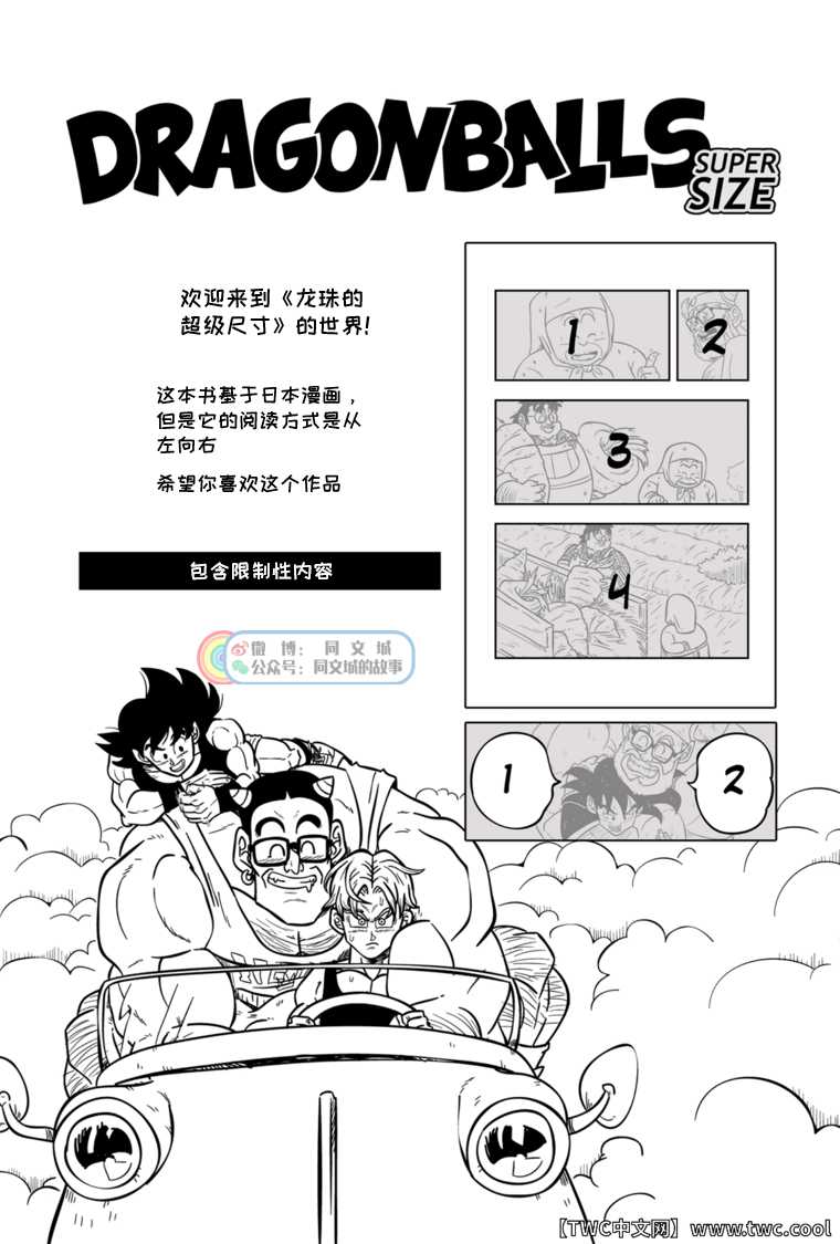 [GALAXYCOOP_Z]Dragon Balls SUPER SIZED (Chapter 01) [Chinese] [同文城] - Page 4