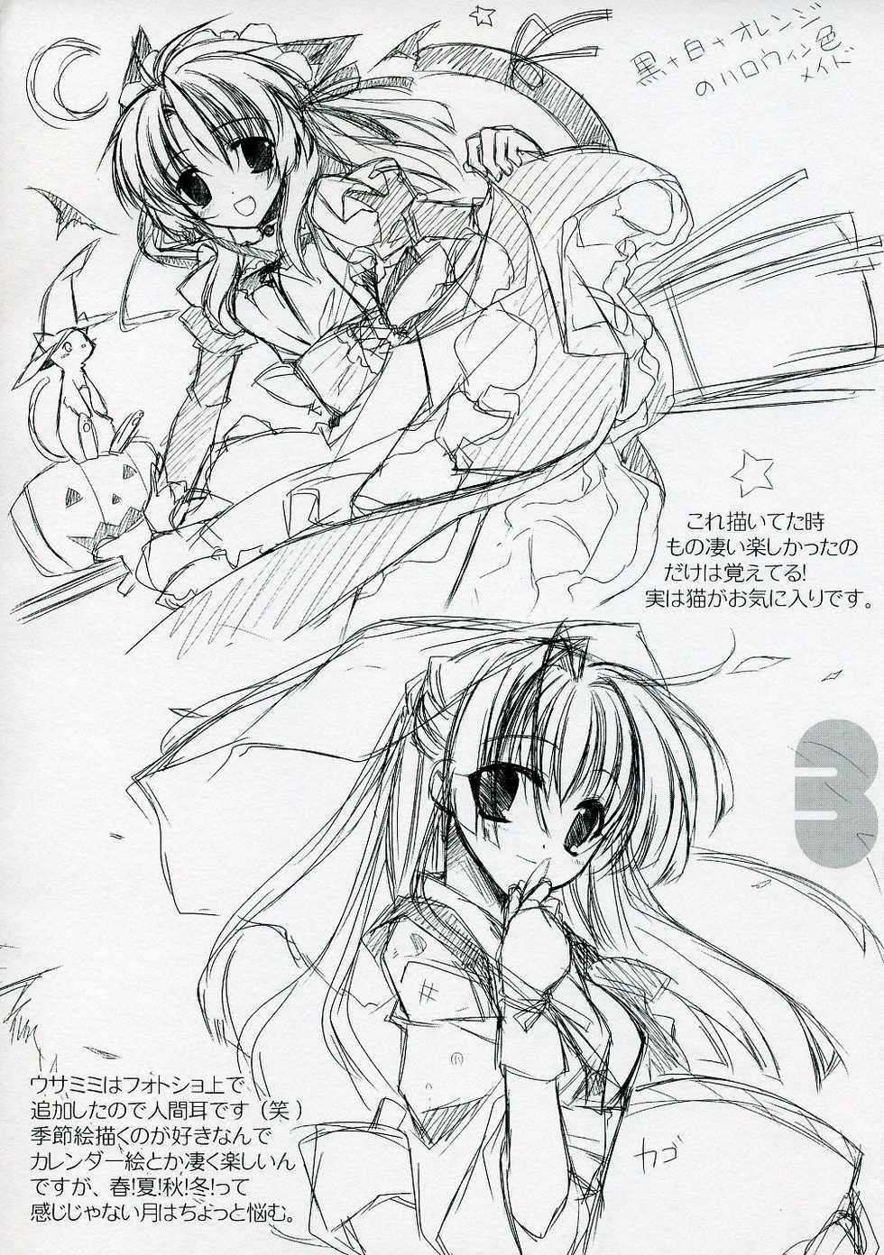 (C73) [Hikami Oukoku (Minazuki Haruka)] KEMOMIMI COLOR+ - Page 3