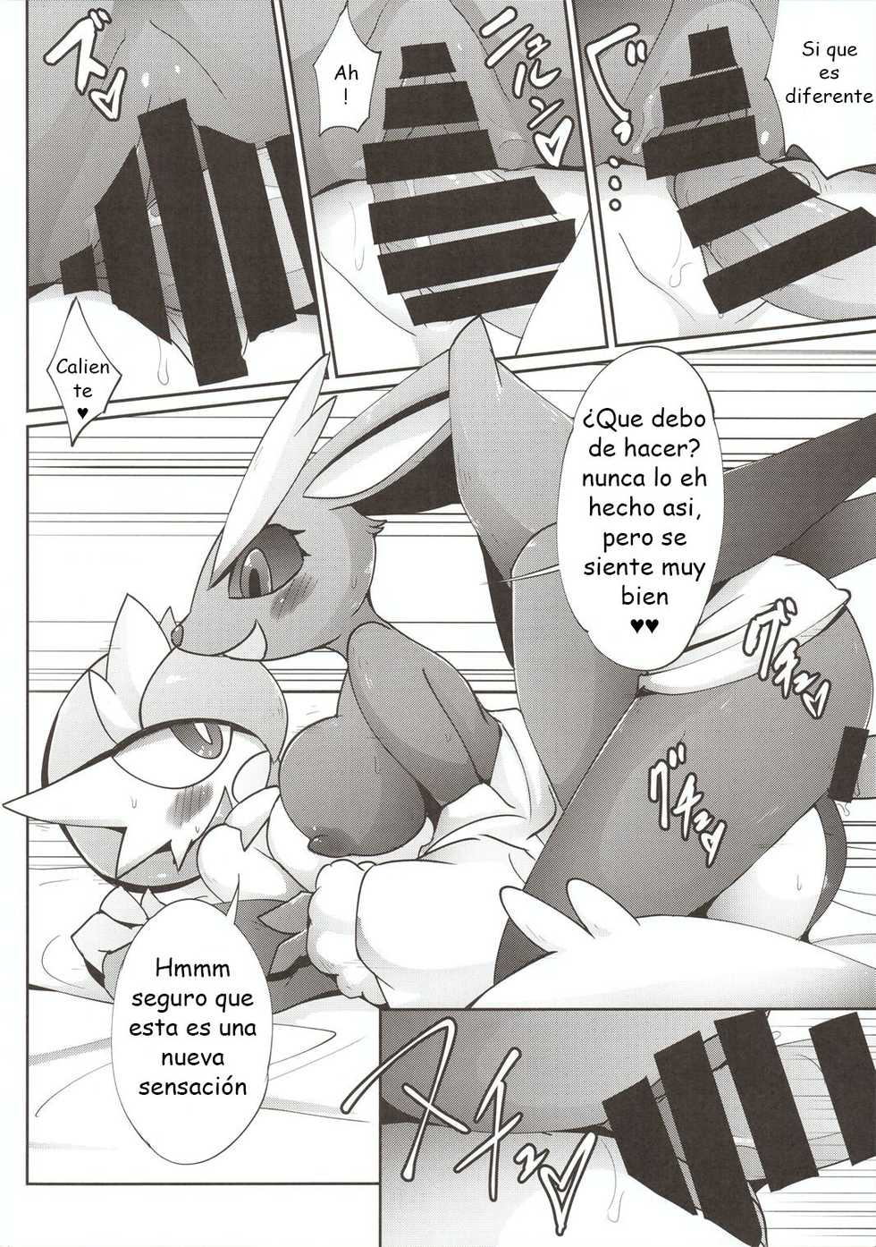 (C92) [Metallic Steel (Ikanomaru)] Maid-san-tachi no Kindan no Nawabari Battle! (Pokémon) [Spanish] [olimpo no fansub] - Page 19