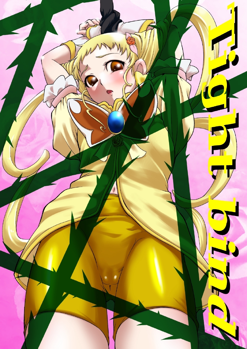 [Big Mama (Mizuki Loose)] Tight bind (Yes! Precure5 Go Go!) - Page 3