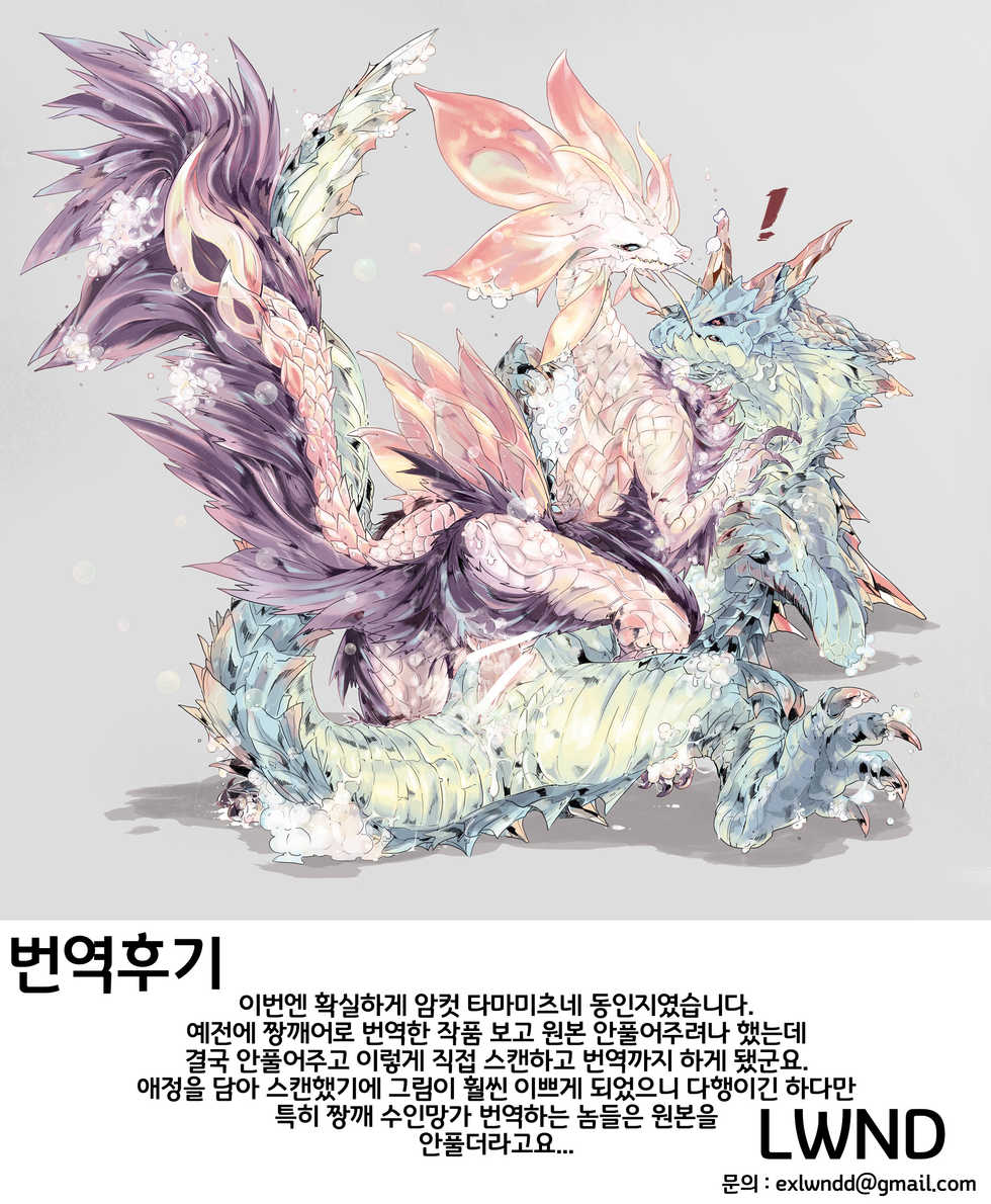 (Kansai! Kemoket 6) [DE? (Katagiri Maya)] The Inverted Shabon Harem (Monster Hunter) [Korean] [LWND] - Page 19