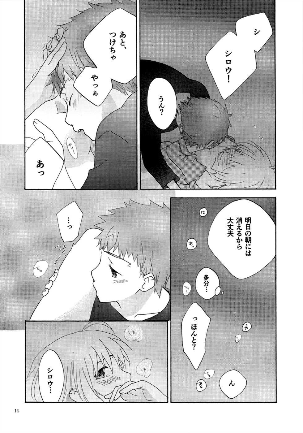 [FakeGarden (Watari)] POP STAR (Fate/stay night) - Page 13