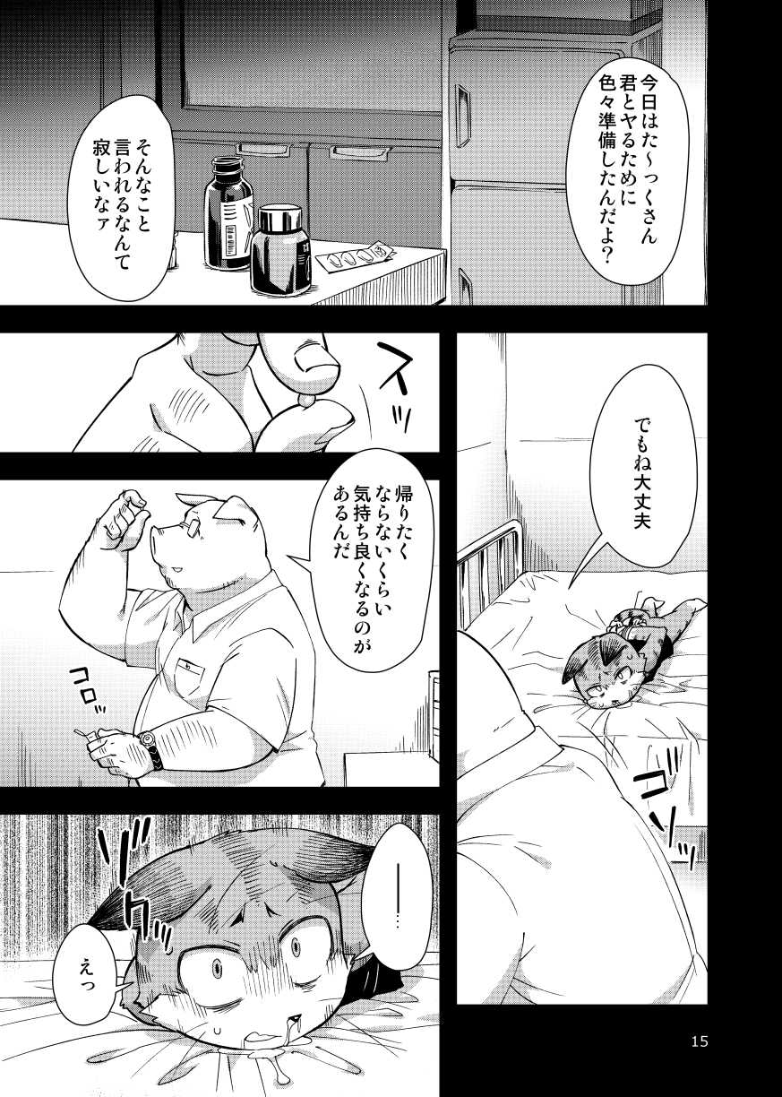 [Harugoya (Harusuke)] Harubon 12 [Digital] - Page 14