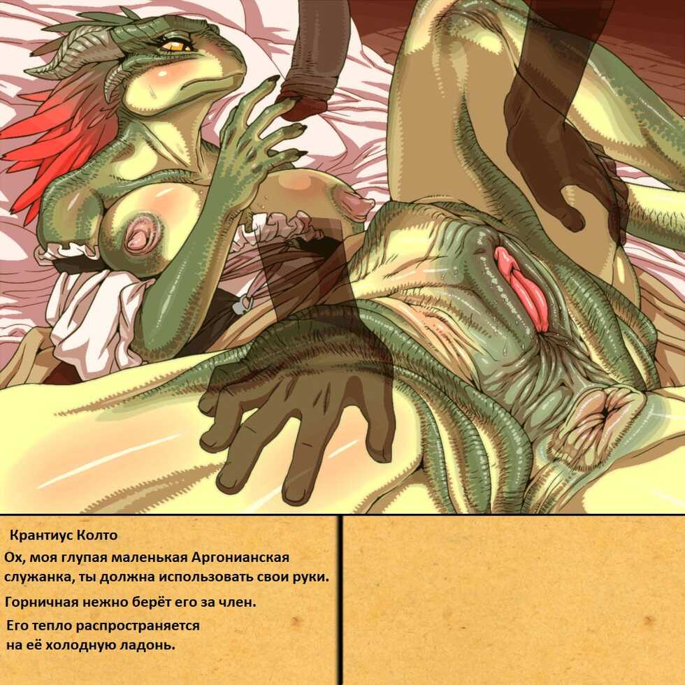 [Umasugiyu (Nezumin)] Rurou no Kishi | Изгнанный воин (The Elder Scrolls) [Russian][CHUCK451][Decensored] - Page 18