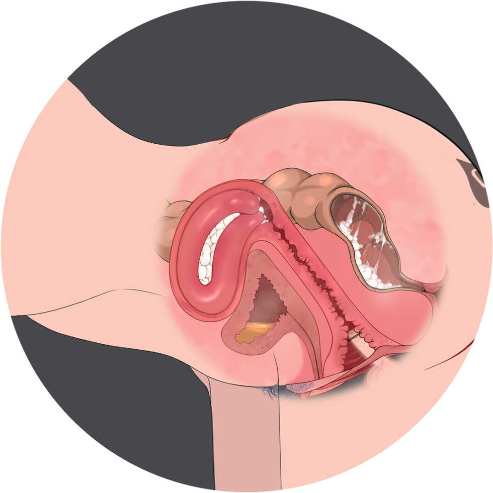 [Yomigaeru] Bunny Girl (Houkai Impact 3) - Page 25