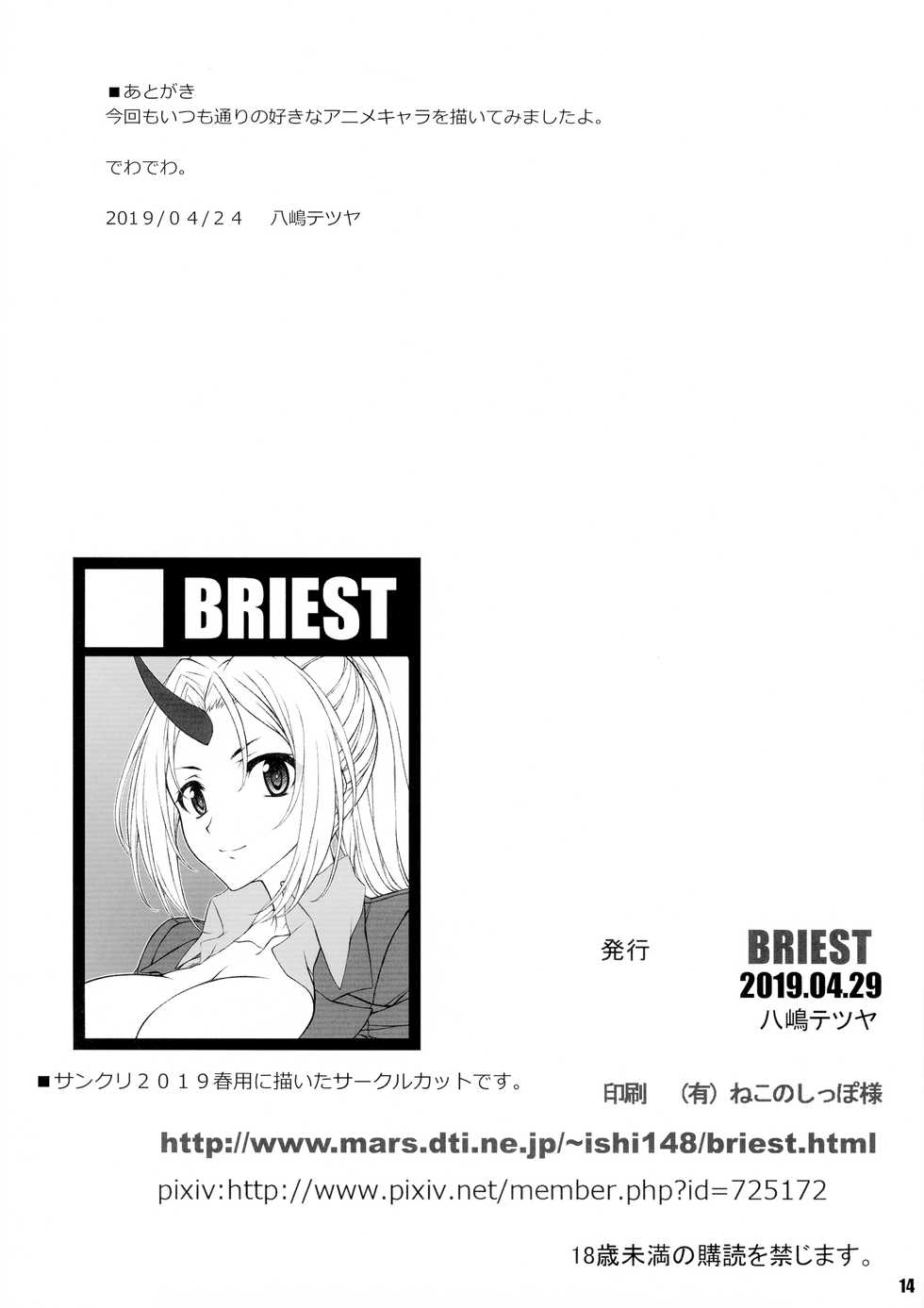 (COMIC1☆15) 	[BRIEST (Yashima Tetsuya)] T2R/17 (Various) - Page 13
