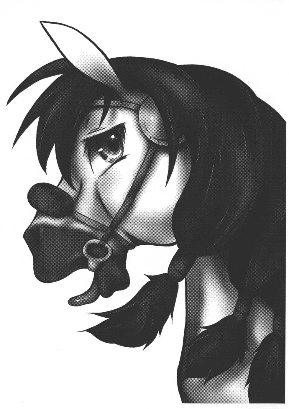 (Kansai! Kemoket 3) [Two Tone Color (Colulun,Koro)] UMANKO QUEST (Dragon Quest VIII) - Page 3