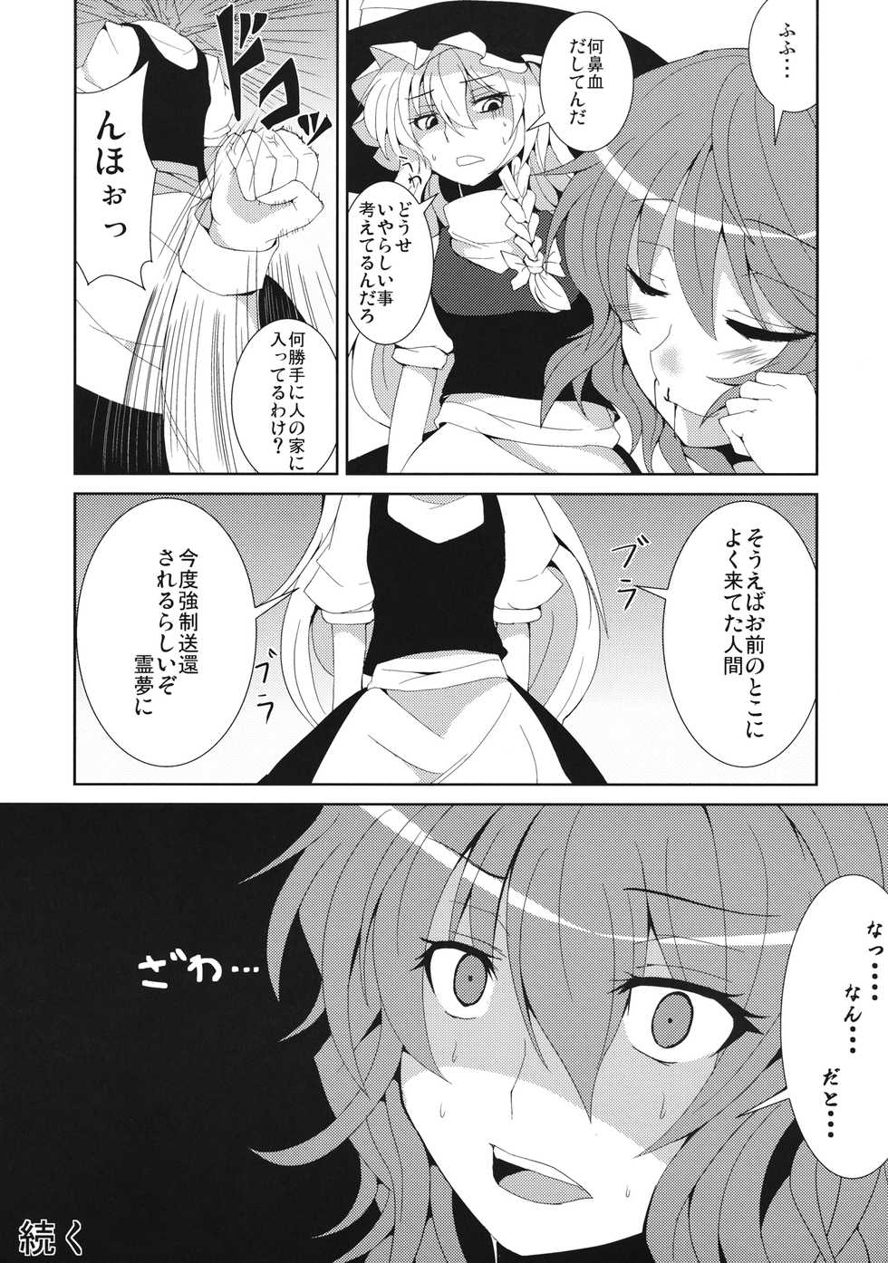 (C80) [Ashima Sandou (Ashima Takumi)] Anata dake o Mitsumete (Touhou Project) - Page 25