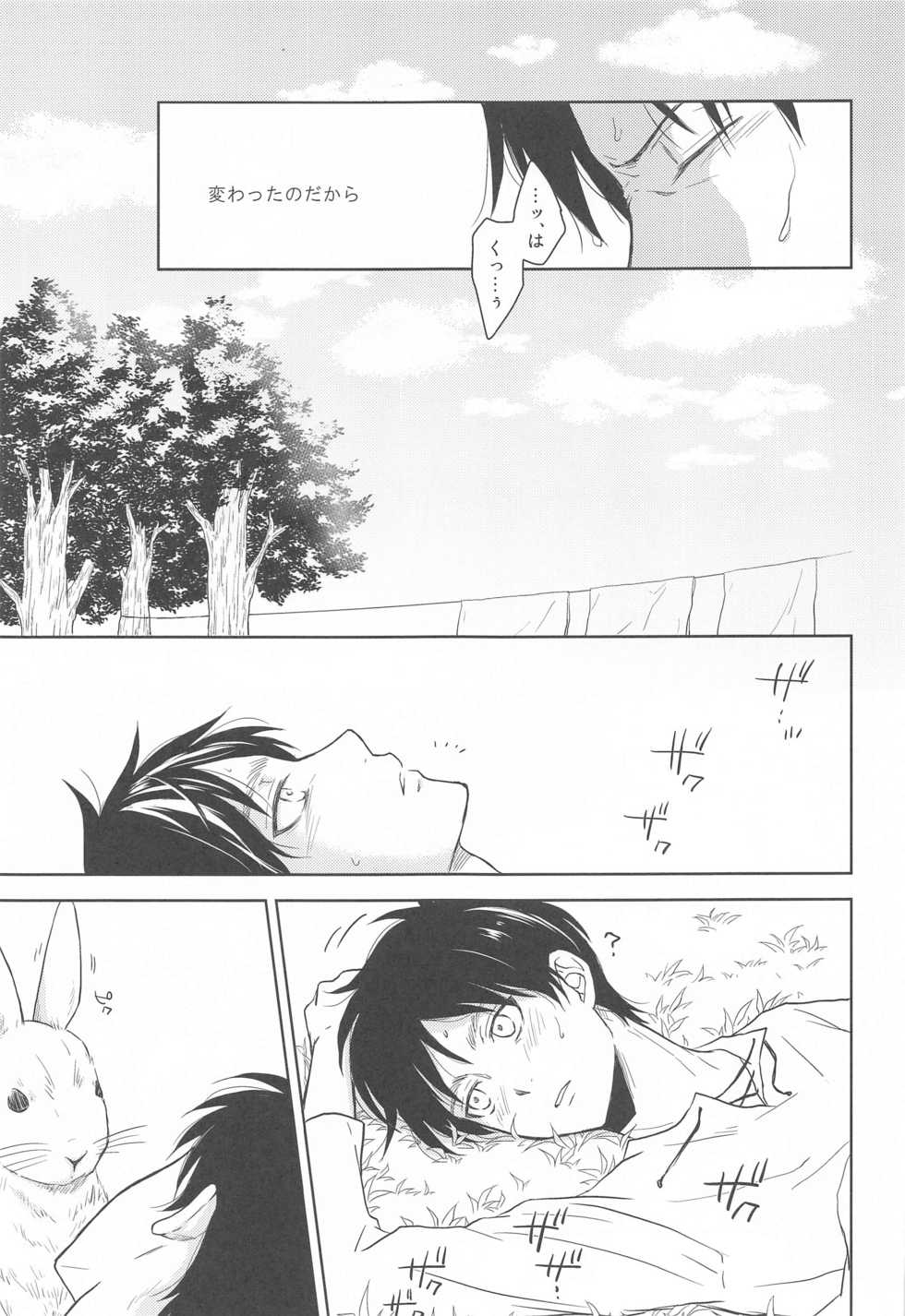 (C88) [NIA (Sawa)] God Bless You (Shingeki no Kyojin) - Page 29