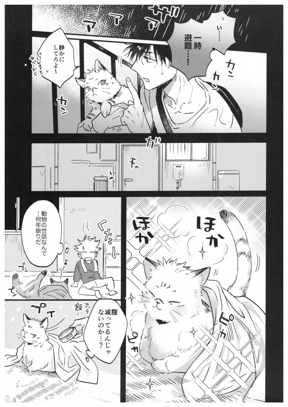(Yougen Kinkyuu SUMMER 2021) [CANARY (bi)] FUSHI TO NEKO (Jujutsu Kaisen) - Page 8