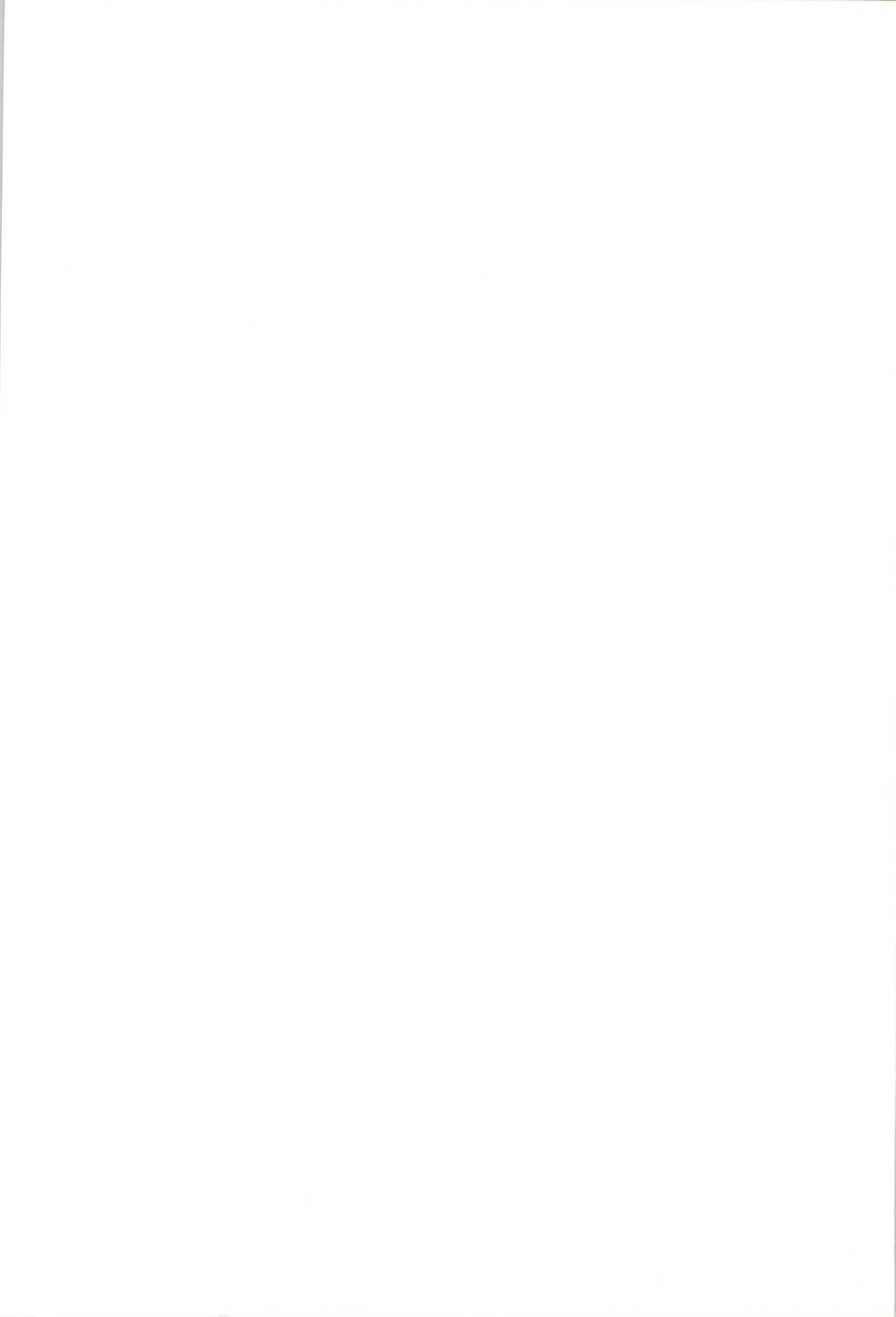 (Puniket 24) [Points (HAM)] Hajimete no Furu Furu (Monster Hunter) - Page 2