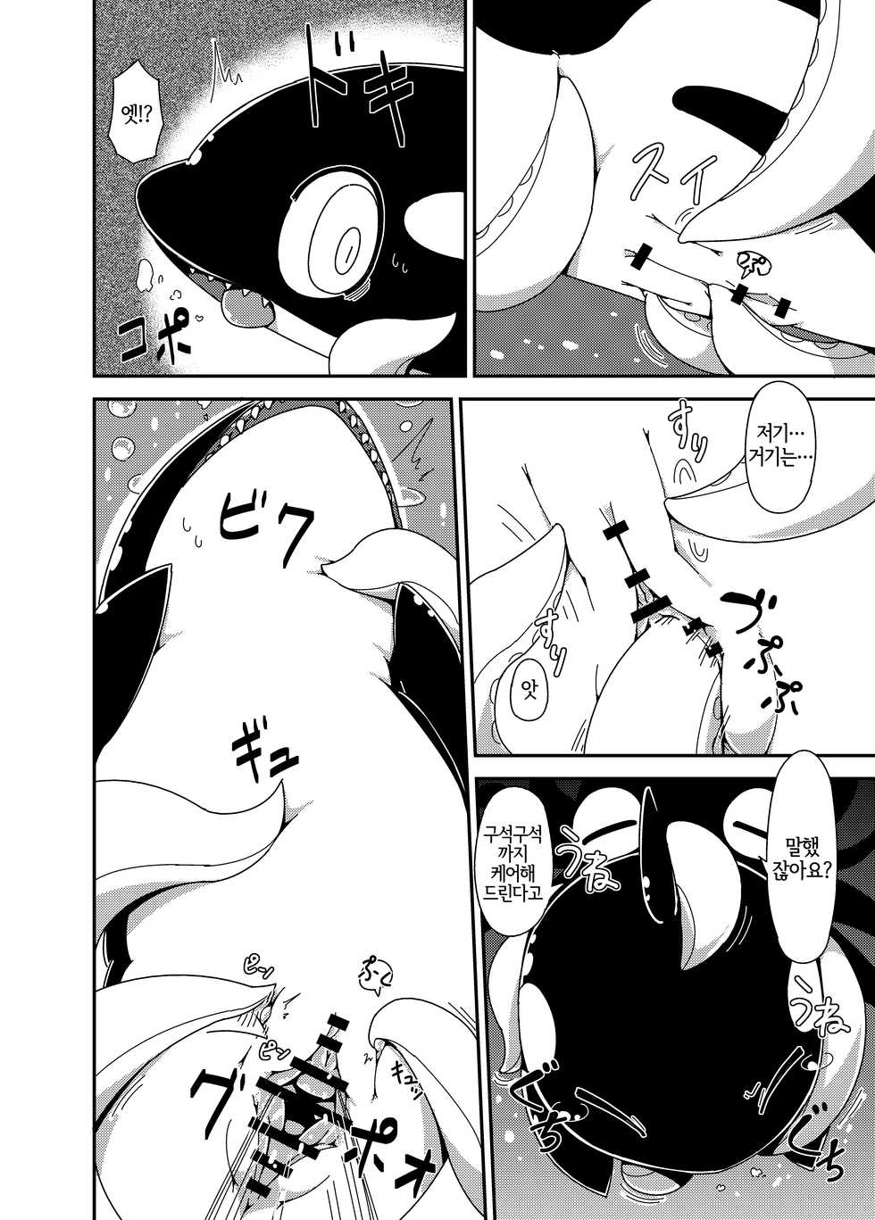 (C94) [Ika Guerrilla (Kageyama)] Shachi Ero wa Ikaga!? | 범고래 에로는 어떠신징어!? [Korean] [LWND] - Page 19