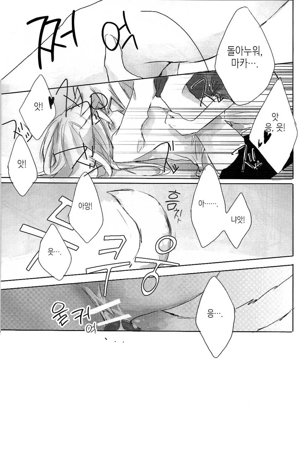 (Further Confusion 2009) [KISS (Katsura Miya)] My Master! (Soul Eater) [Korean] [이거맛좀봐] - Page 14