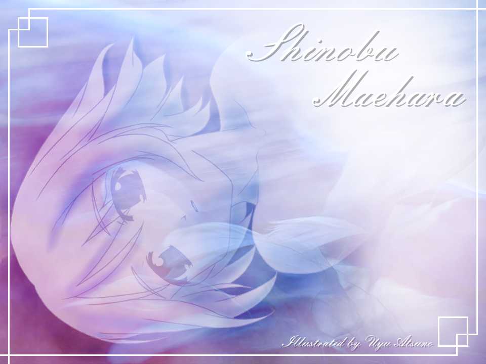 [Sou no Iori & Harehare Project] Maehara de Ikou!! (Love Hina) - Page 16