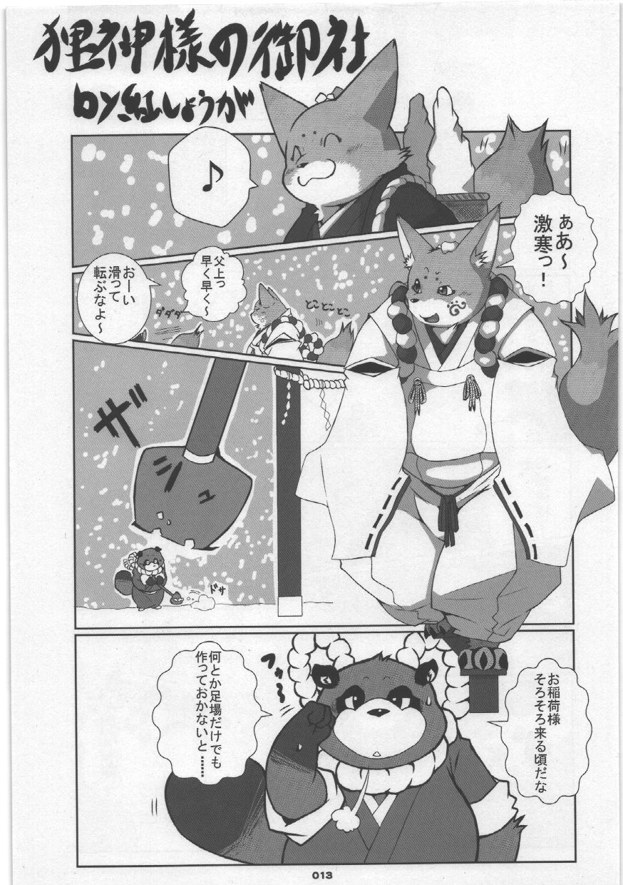 (C75) [Chibineco Honpo (Various)] Yome Bon (Pokémon, Tonde Buurin) - Page 13