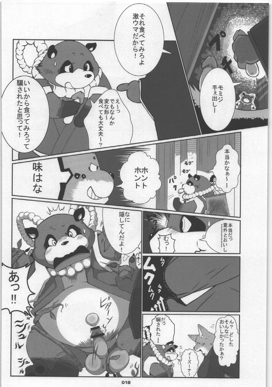 (C75) [Chibineco Honpo (Various)] Yome Bon (Pokémon, Tonde Buurin) - Page 18