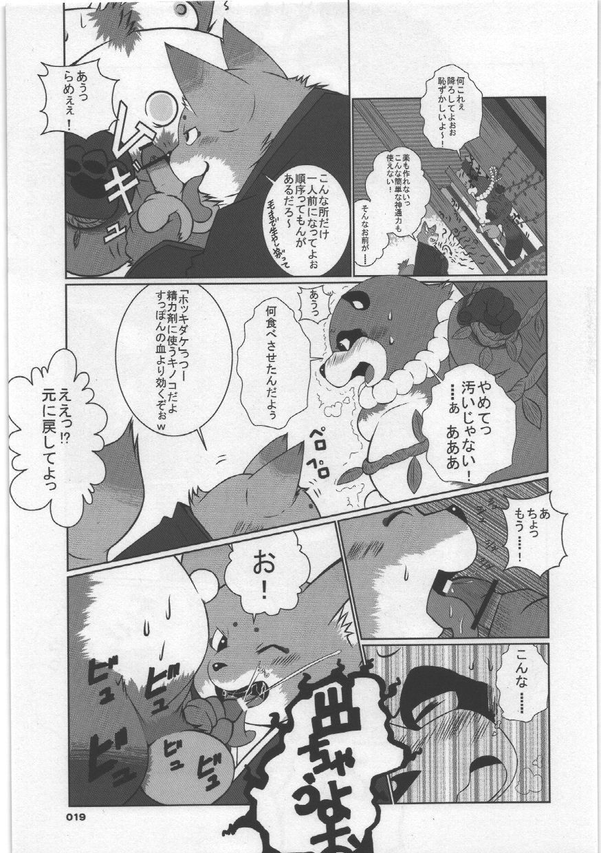 (C75) [Chibineco Honpo (Various)] Yome Bon (Pokémon, Tonde Buurin) - Page 19