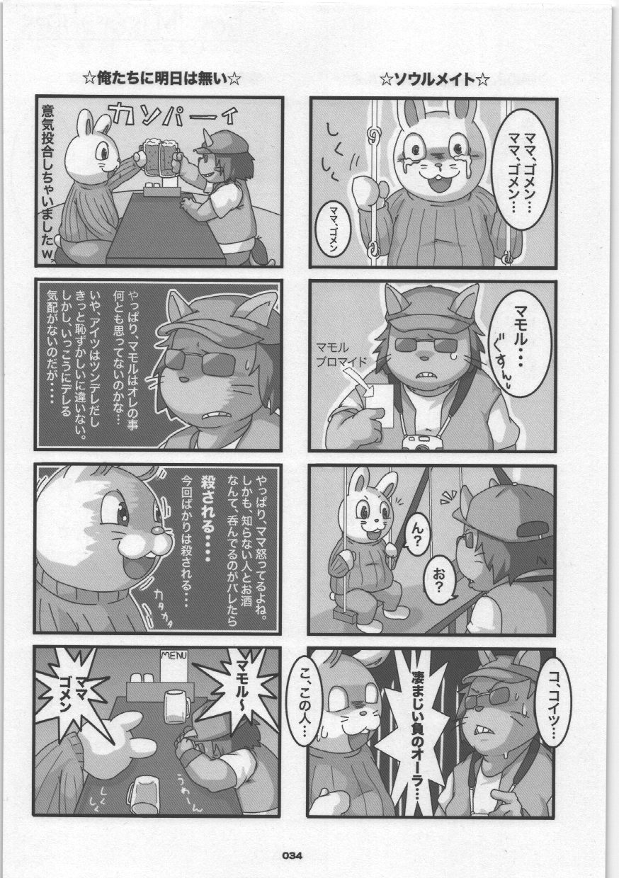 (C75) [Chibineco Honpo (Various)] Yome Bon (Pokémon, Tonde Buurin) - Page 34