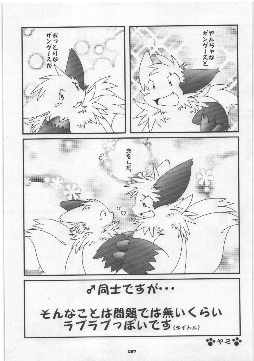(C75) [Chibineco Honpo (Various)] Yome Bon (Pokémon, Tonde Buurin) - Page 37