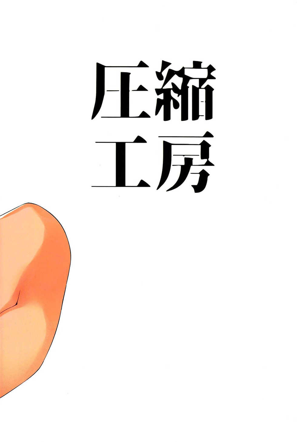 (C97) [Asshuku Koubou (Terazip)] Hatsujou Wanko no Shotagui SEX (Touhou Project) [Chinese] [爱弹幕汉化组] - Page 23