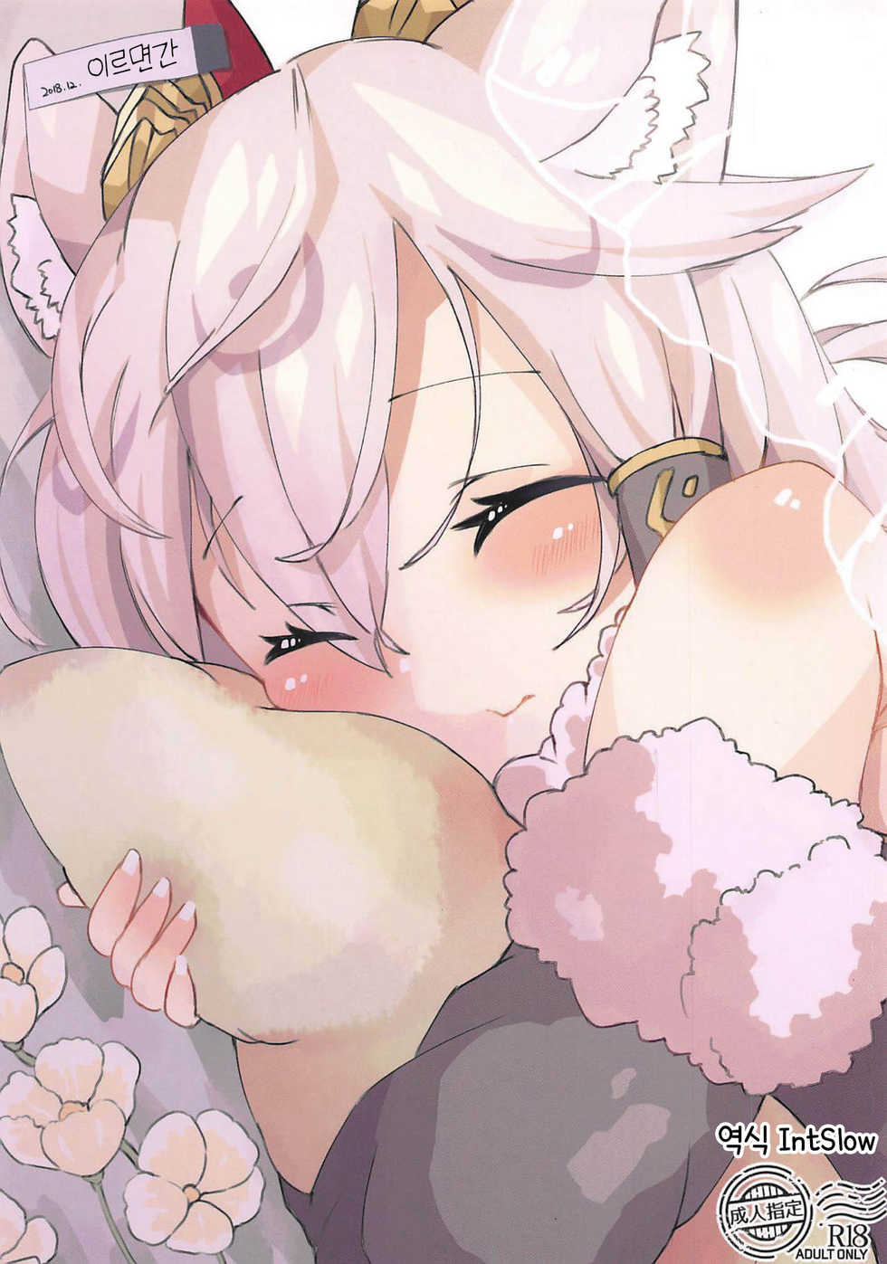 (C95) [Kowaremono (Mattya-sama)] Ilminkan | 이르면간 (Puzzle & Dragons) [Korean] - Page 1