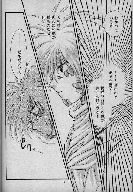 [Shizuka] Nightmare (Slayers) - Page 8