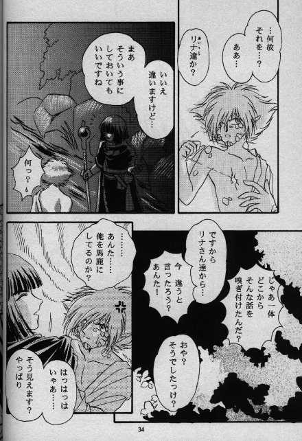 [Shizuka] Nightmare (Slayers) - Page 29