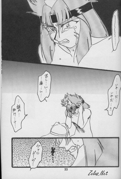 (C56) [Anikigaiku] Jijitsu Mukon (Slayers) - Page 32