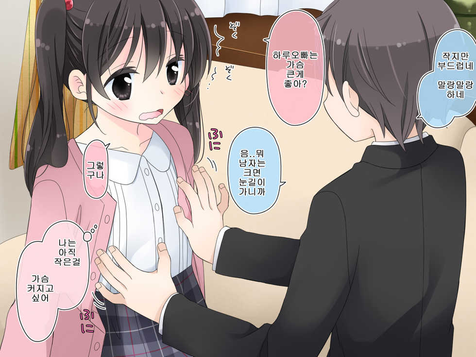 [Sorairo Nyannyan (Katase Aoko)] Aru Kyoudai no Dare ni mo Ienai Ecchi na 5-nenkan. [Korean] - Page 26