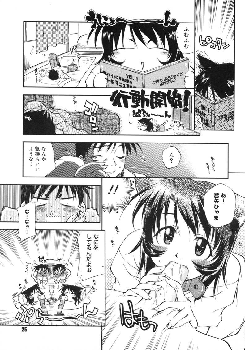 [Tachibana Toshihiro] Happy ☆ Trap - Page 25