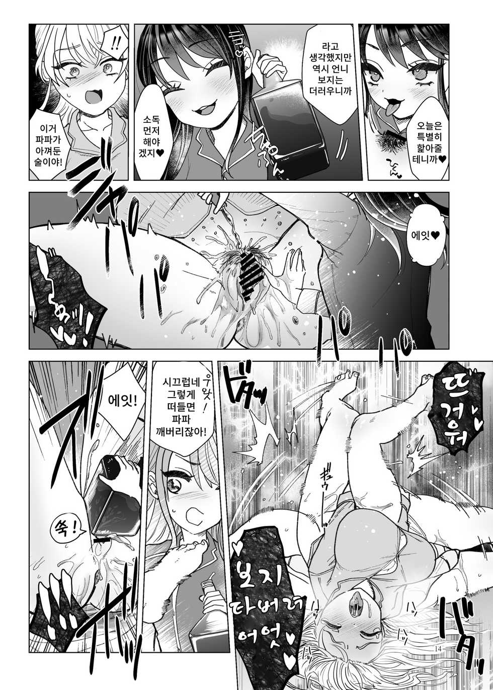 [ASK, (Serakichi.)] Imouto ni Kawareru [korean] - Page 13