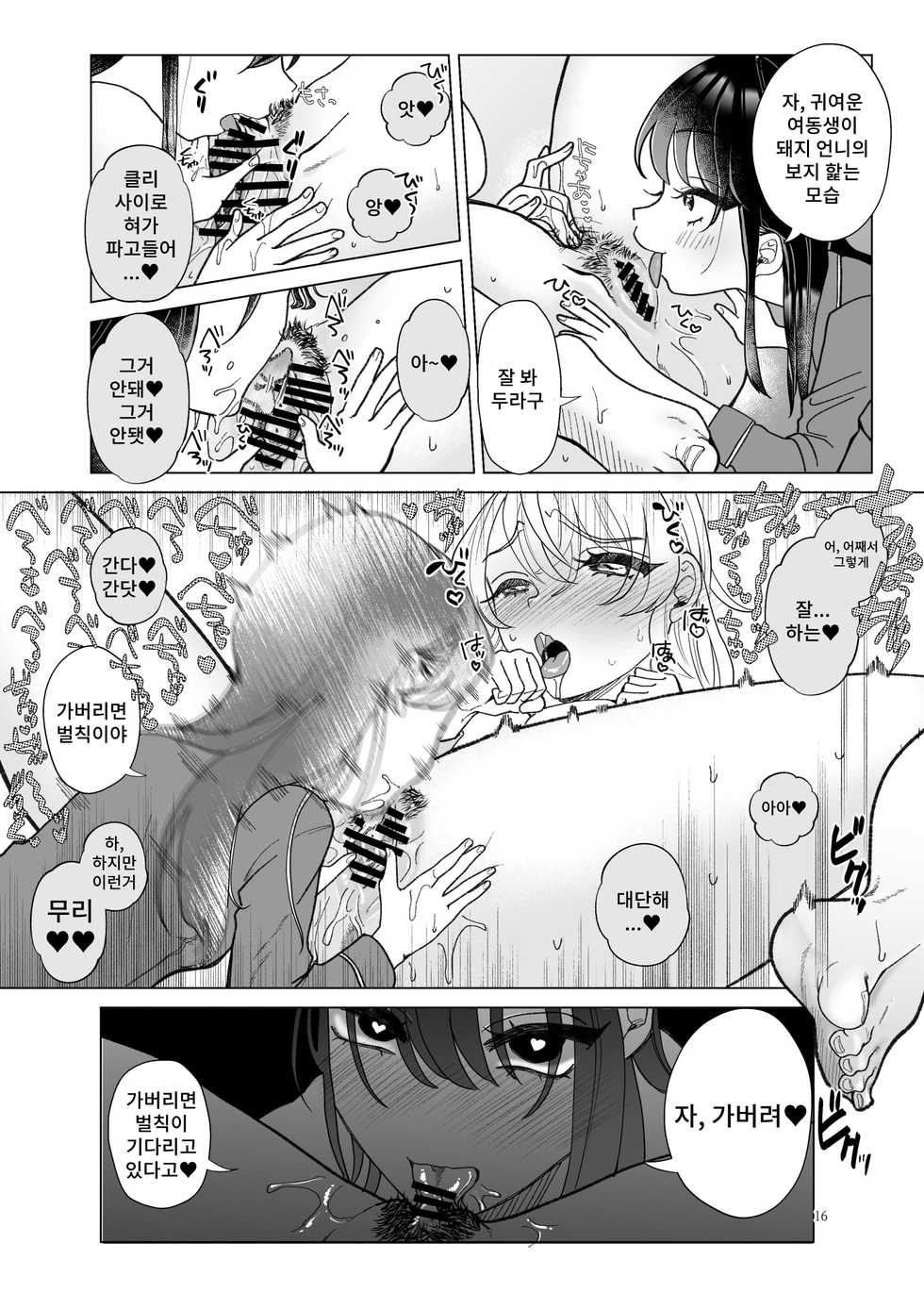 [ASK, (Serakichi.)] Imouto ni Kawareru [korean] - Page 15