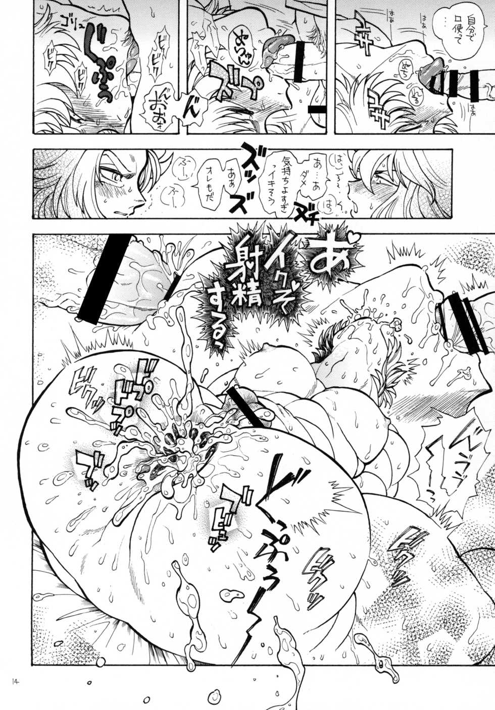 [Midori (Fujisawa Noboru)] Nikujuu (Saint Seiya) - Page 14