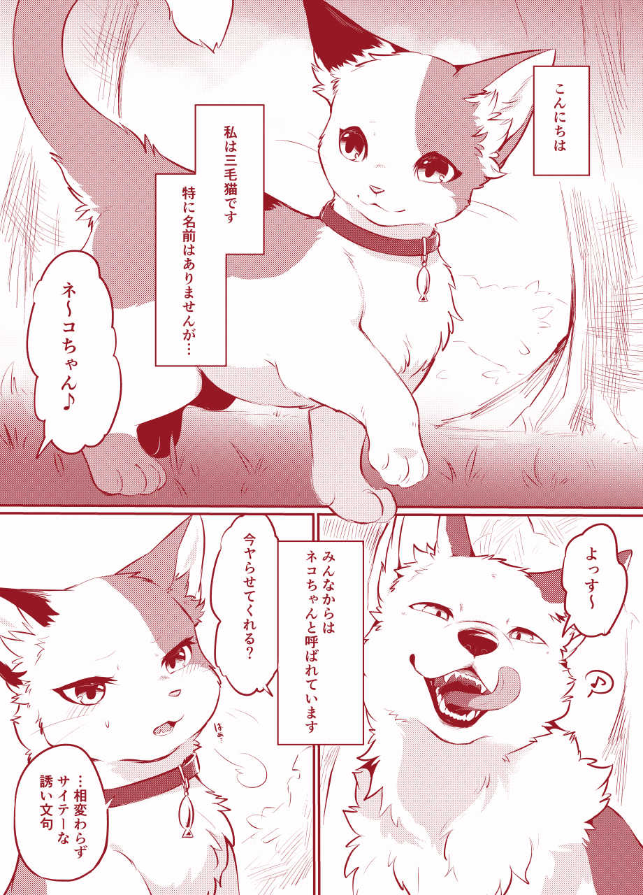 [Kaiten ParaDOGs (Diga Tsukune)] -  [SAMPLE]【けもケット10】すきものどうし【新刊サンプル】+ Sketches / Extras - Page 3