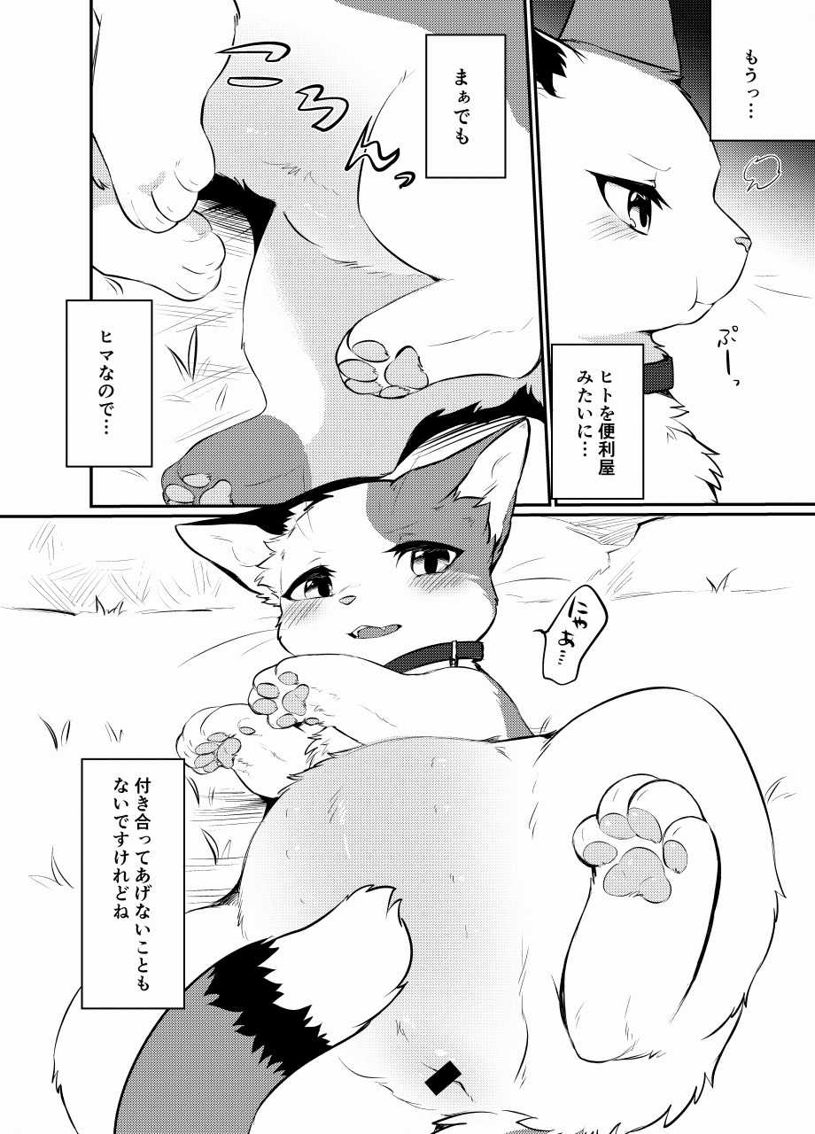 [Kaiten ParaDOGs (Diga Tsukune)] -  [SAMPLE]【けもケット10】すきものどうし【新刊サンプル】+ Sketches / Extras - Page 11