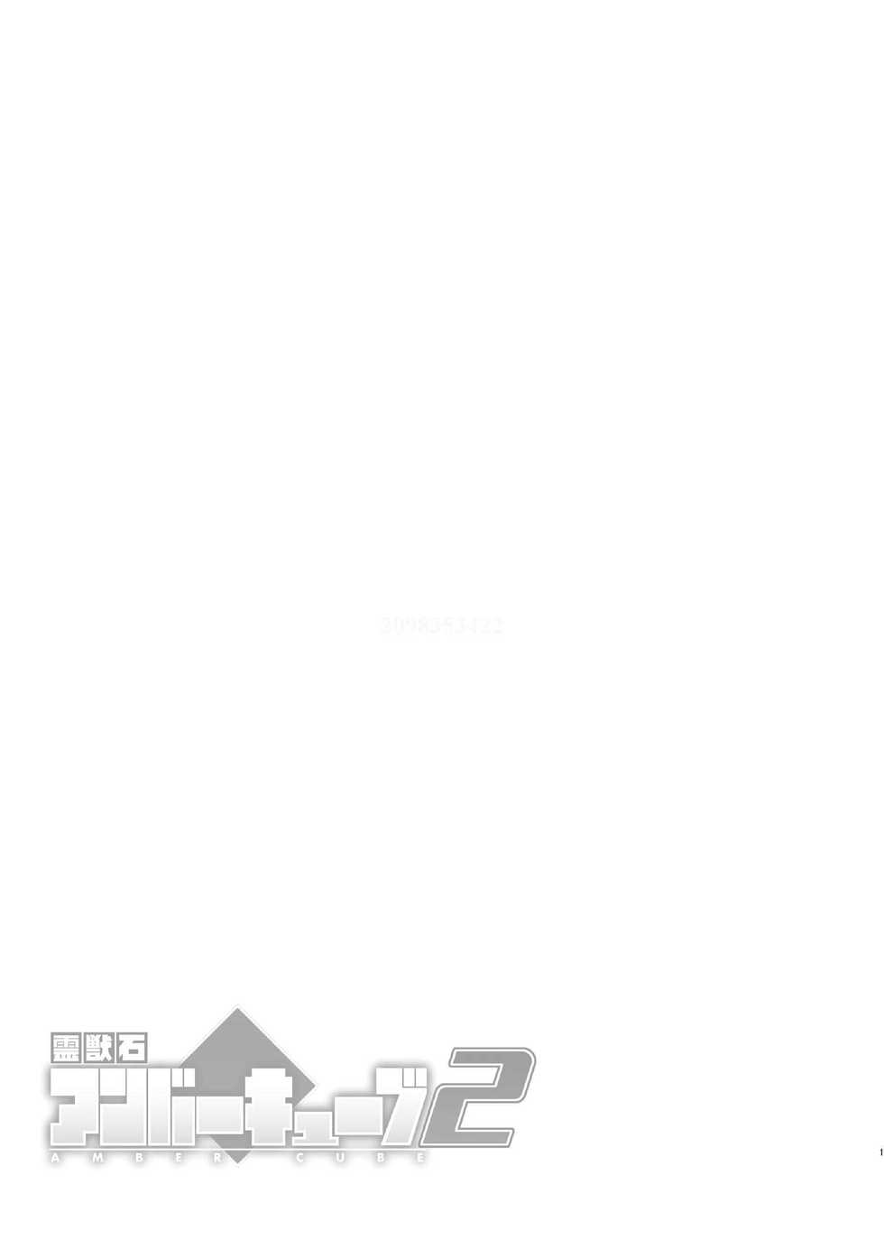 [IDIVIDE (GAMMA CHAOS)] Reijuu Ishi Amber Cube 2 [chinese] - Page 7