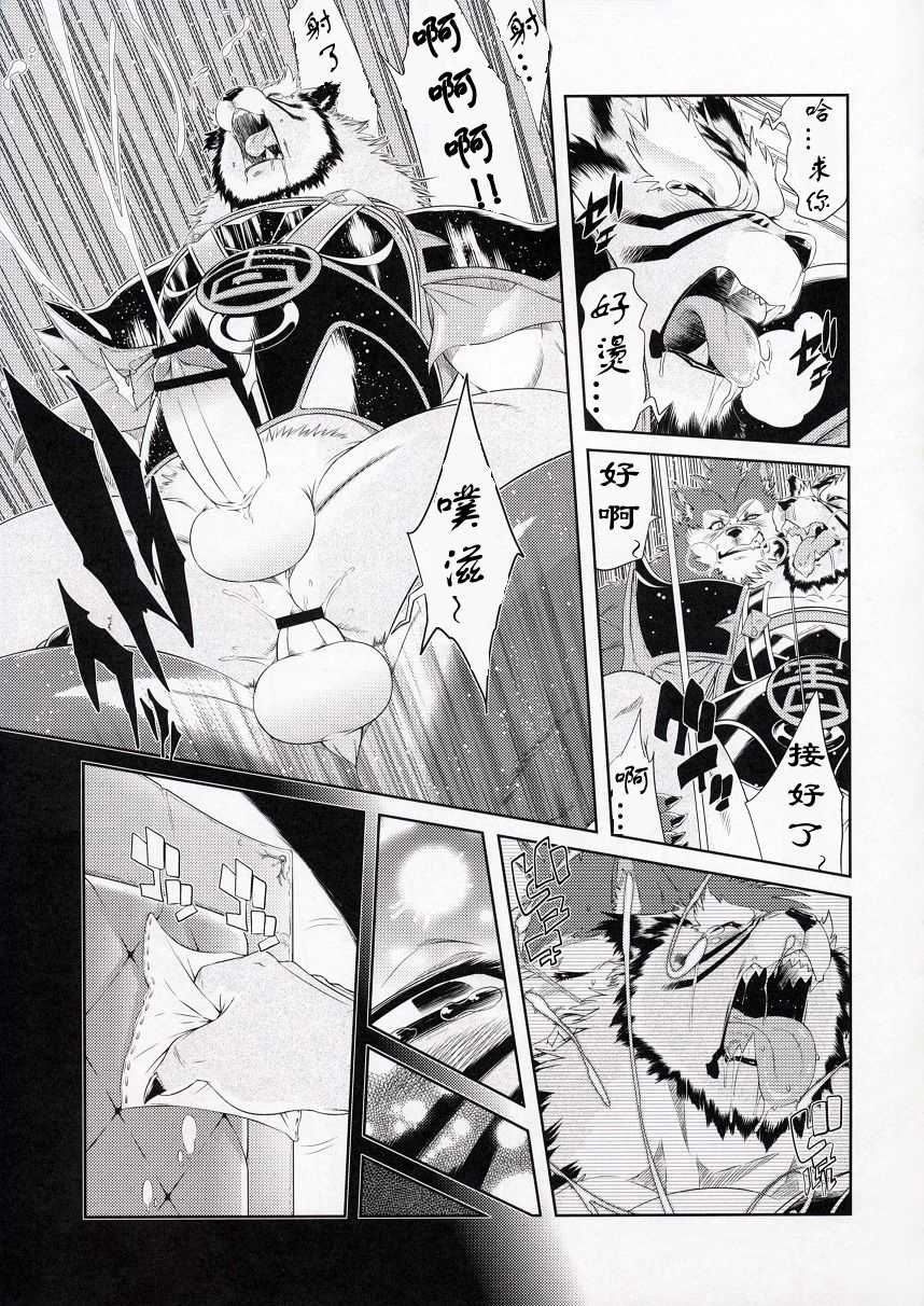 (C78) [Sweet Taste (Amakuchi)] Shining F (SHINING WIND) [Chinese] [小紅個人漢化] - Page 22