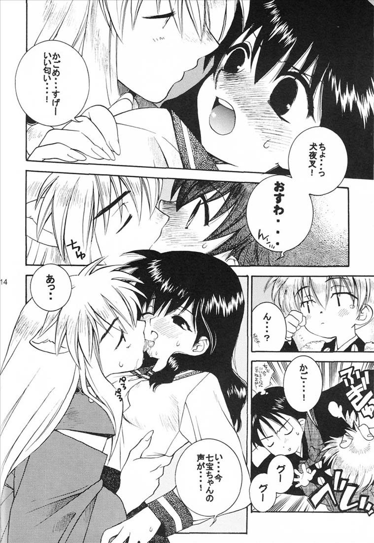 C65) Totsugeki Wolf (Yuhki Mitsuru) Yasha no Mori (<b>Inuyasha</b>) - Page 15.