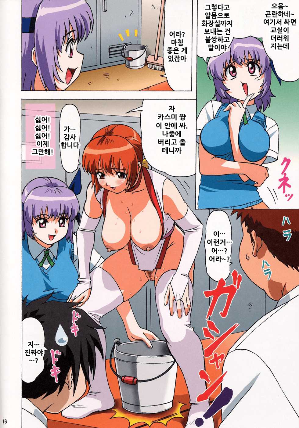 (C64) [Ohkura Bekkan (Ohkura Kazuya)] Venus 01 (Dead or Alive) [Decensored] [Korean] - Page 17