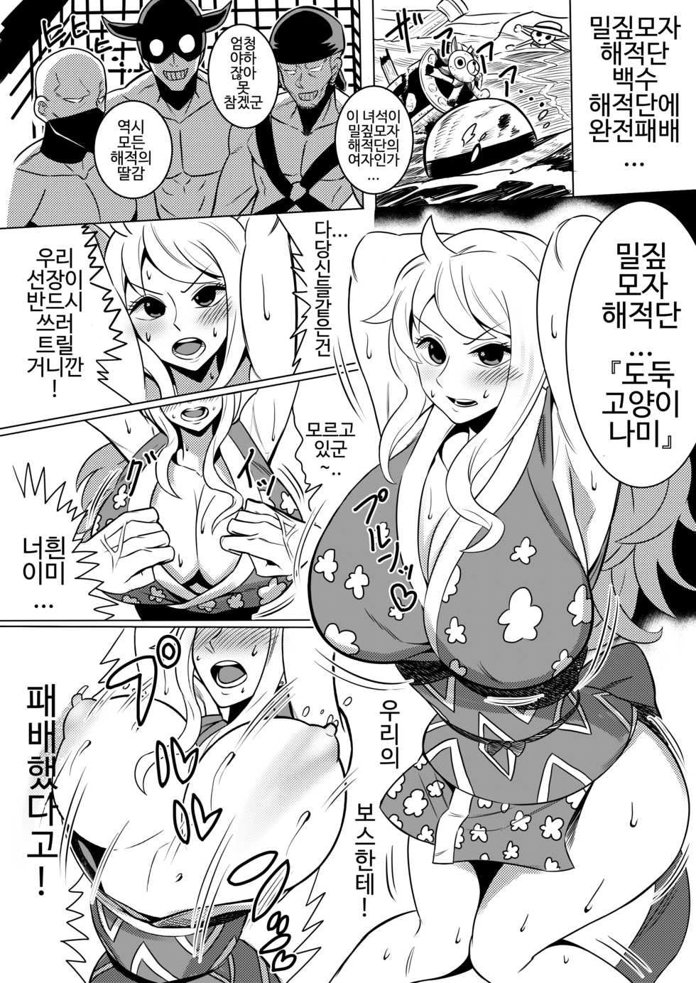 [Kame no Kotawashi (Imajin Kouji)] Haiboku no hate ni... (One Piece) [korean] - Page 4