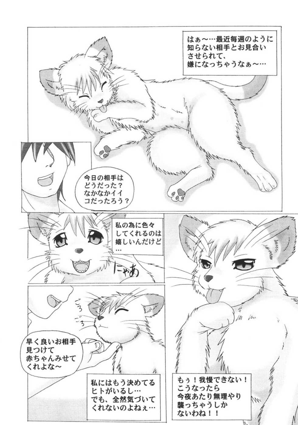 (C69) [TEAM SHUFFLE (Various)] Kemono no Sho Juuni - Book of The Beast 12 - Page 20