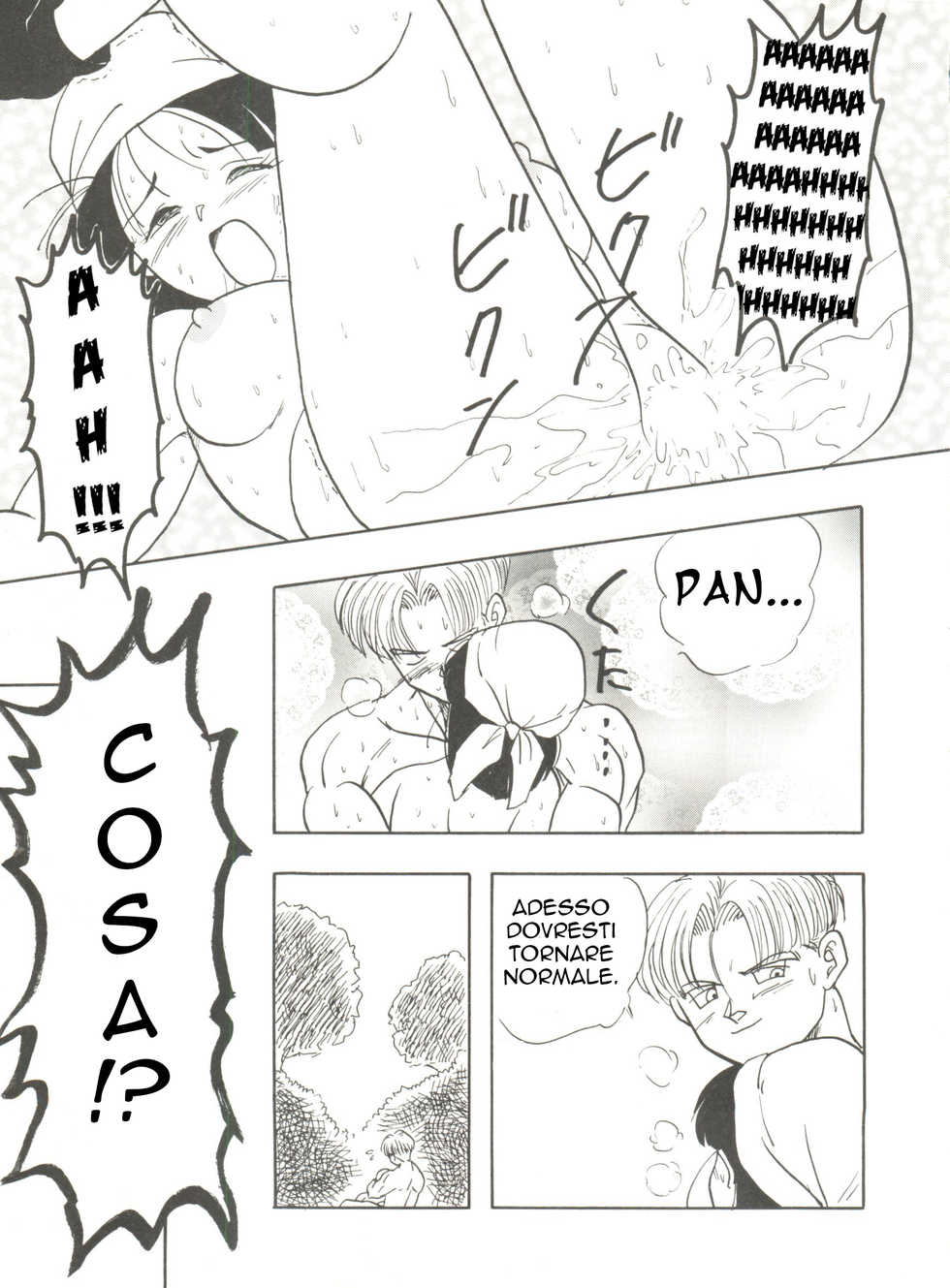 [Chirigami Goya, Fusuma Goten (Shouji Haruko)] Adventure GT (Dragon Ball GT) (italian) - Page 16
