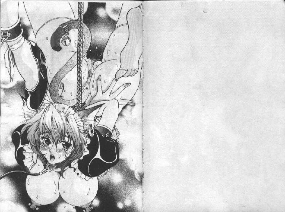 [Anthology] Cat Girl Nuku Nuku's Theme(Chinese) - Page 2