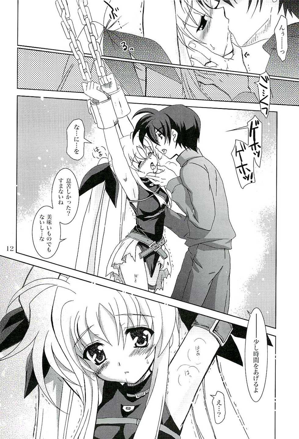 (COMIC1) [PLUM (Kanna)] Magical SEED CABAL (Mahou Shoujo Lyrical Nanoha) - Page 11