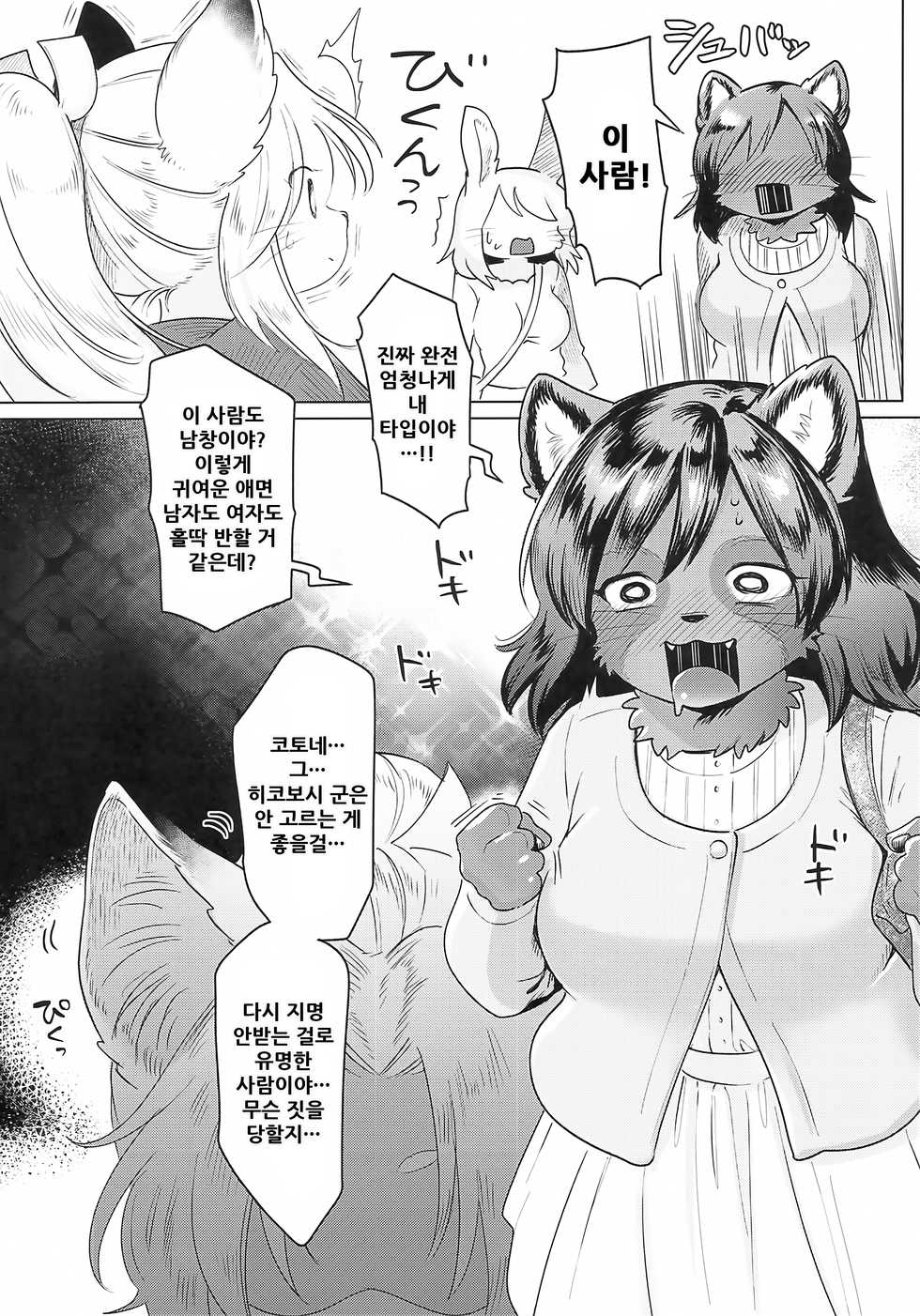 (Kemoket 10) [miyubi (Kiichi)] Hoshi no Shita de | 별의 아래서 [Korean] - Page 7
