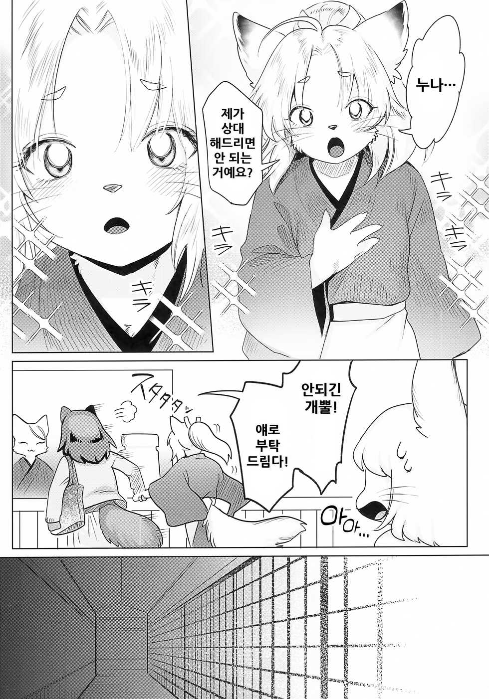 (Kemoket 10) [miyubi (Kiichi)] Hoshi no Shita de | 별의 아래서 [Korean] - Page 8