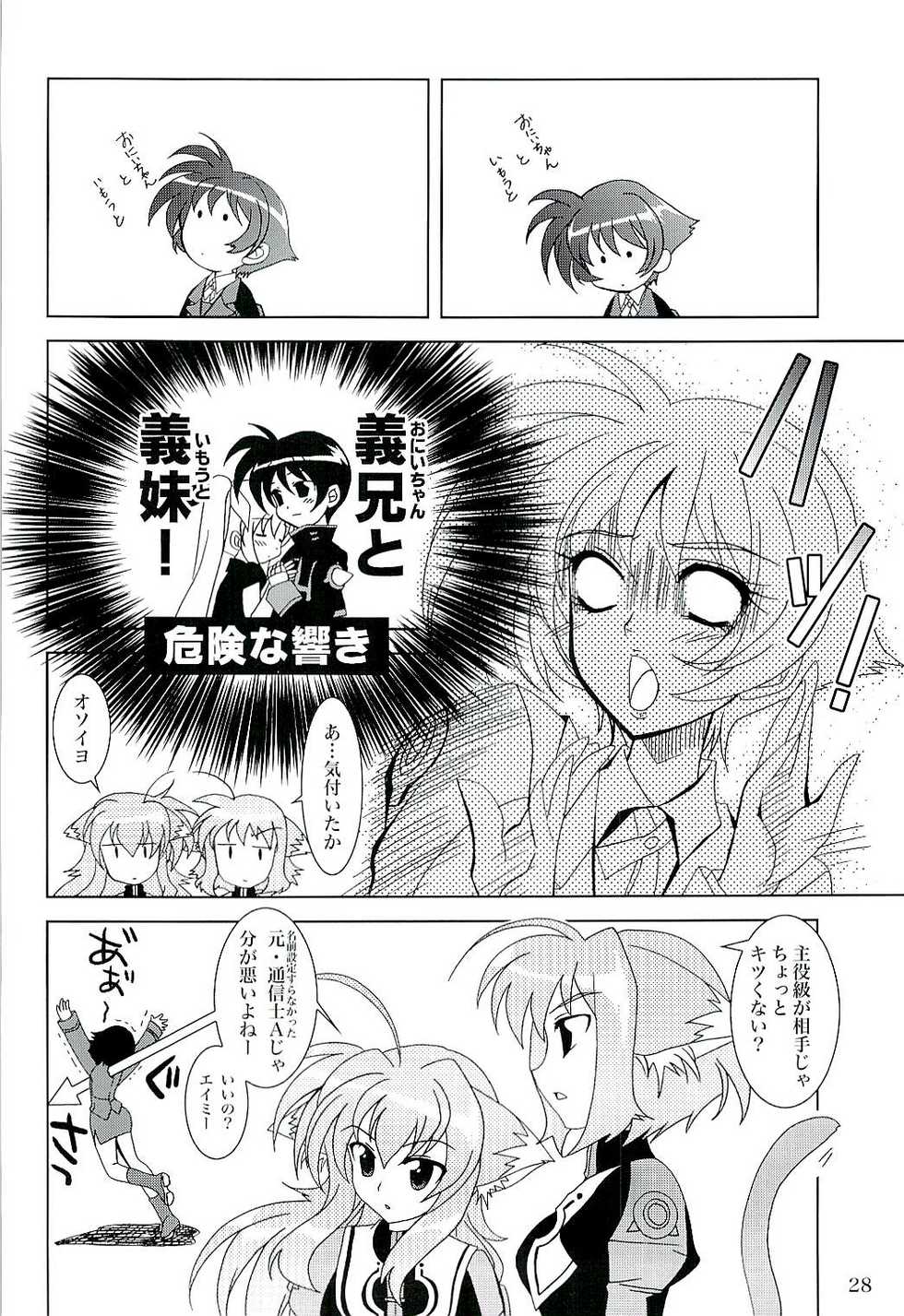 (C71) [PLUM (Kanna)] Magical SEED (Mahou Shoujo Lyrical Nanoha) - Page 27